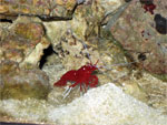 jeskyne15-small.jpg