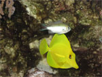 jeskyne19-small.jpg