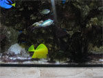 jeskyne22-small.jpg